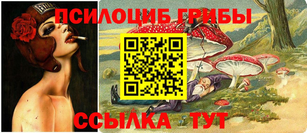 Галлюциногенные грибы ЛСД Россия